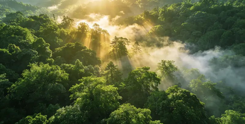 遂宁肺癌172基因检测图片1