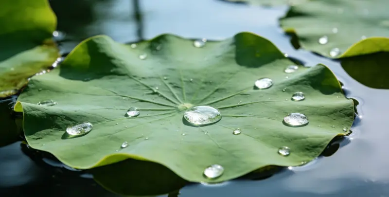 遂宁乳腺癌21基因mRNA表达分析图片1