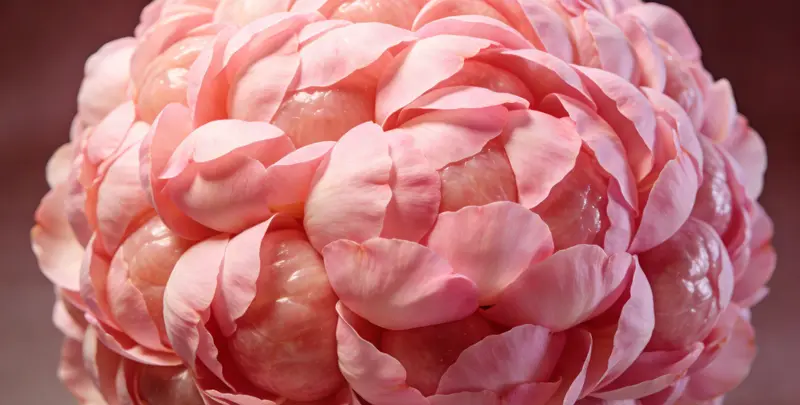 遂宁BRCA1/2乳腺癌卵巢癌基因检测图片1