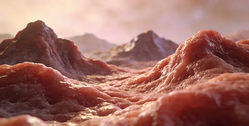 胃癌全面用药基因检测（组织）图2